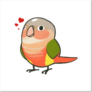 Conure 7 Posters and Art